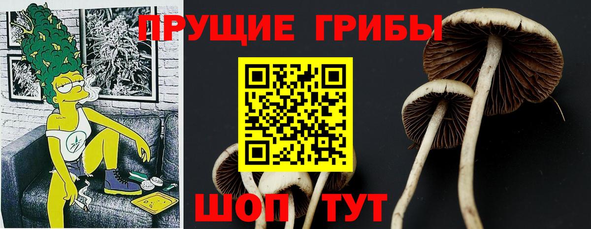 Псилоцибиновые грибы прущие грибы  купить наркотик  Уварово  Вход с VPN 
